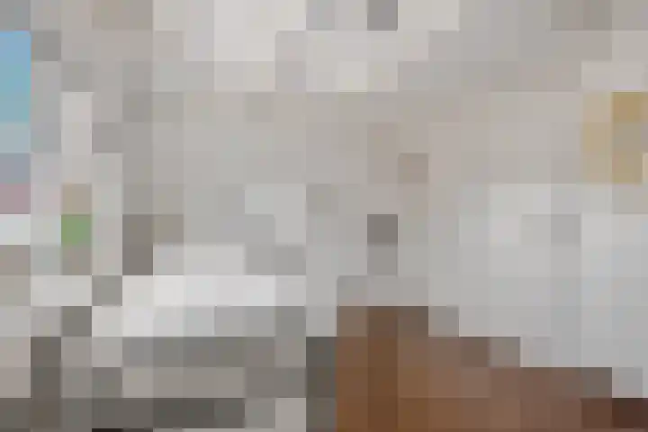 Corso 2 Huissen thumbnail 6