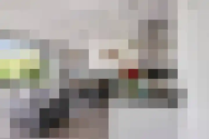 Corso 2 Huissen thumbnail 7