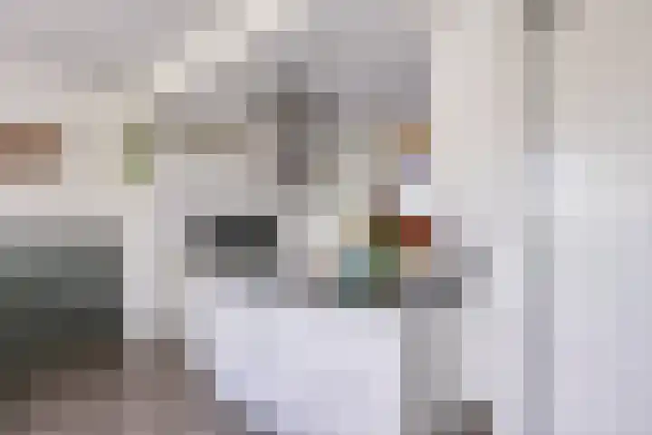 Corso 2 Huissen thumbnail 9
