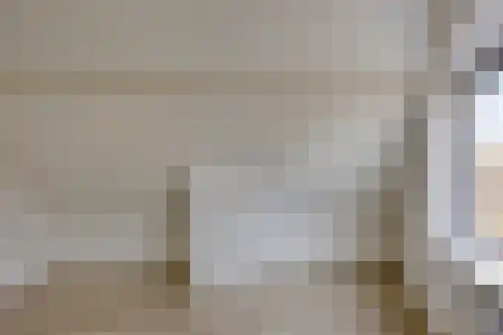 Corso 26 Huissen thumbnail 13