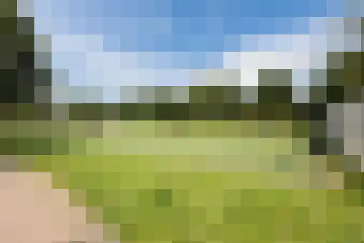 Corso 26 Huissen thumbnail 19