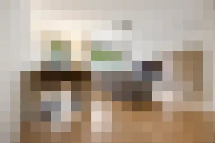 Corso 26 Huissen thumbnail 6