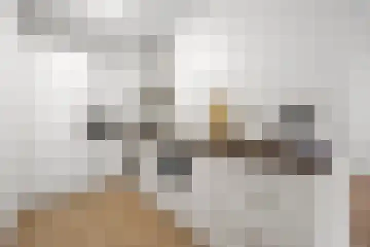 Corso 26 Huissen thumbnail 8