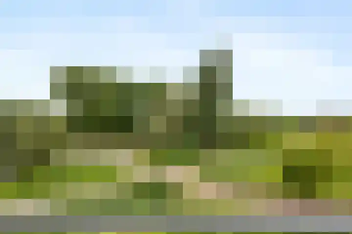 Corso 29 Huissen thumbnail 12