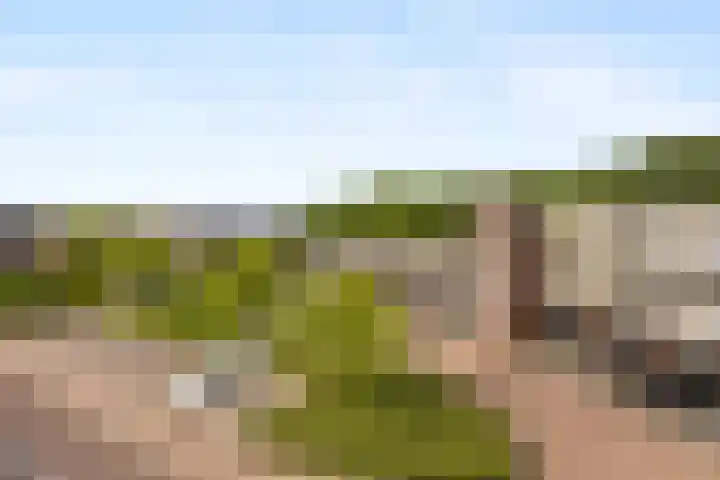 Corso 29 Huissen thumbnail 20