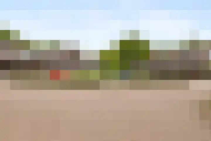 Corso 29 Huissen thumbnail 23
