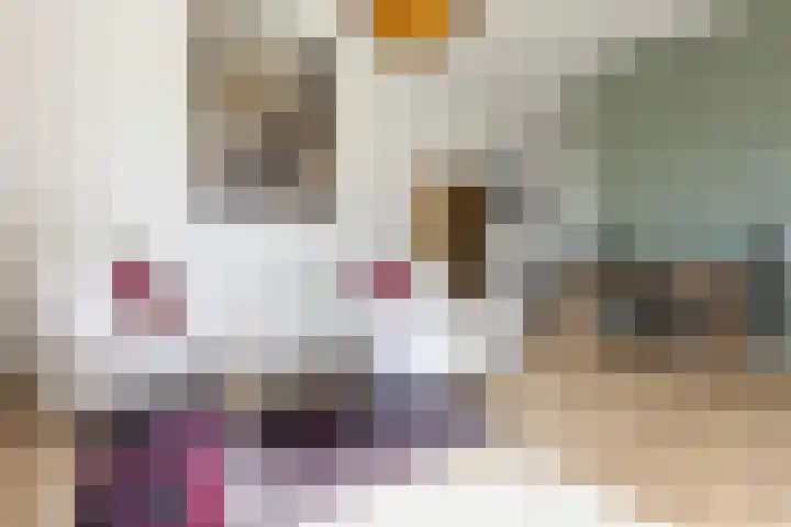 Corso 29 Huissen thumbnail 8