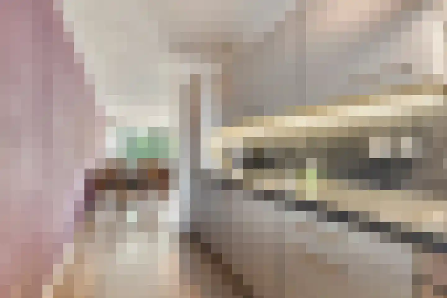 Corso 8 Huissen thumbnail 11