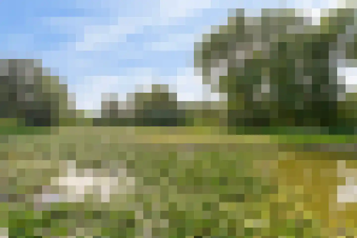 Corso 8 Huissen thumbnail 23