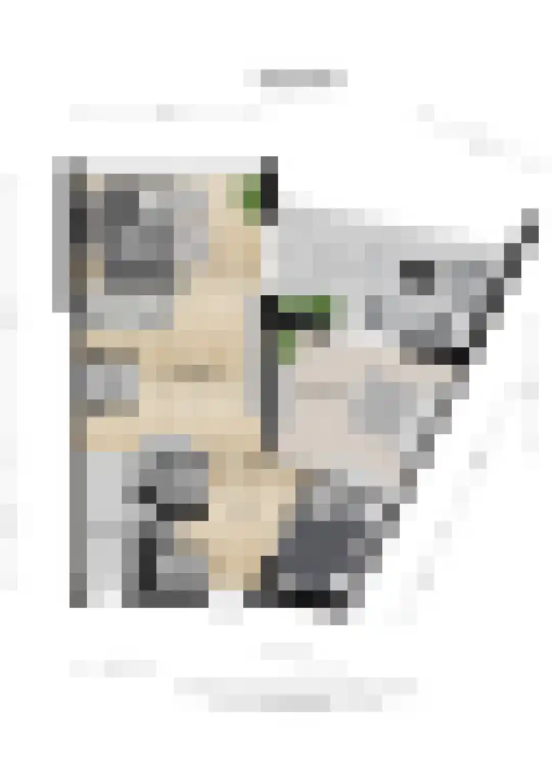 Corso 8 Huissen thumbnail 31
