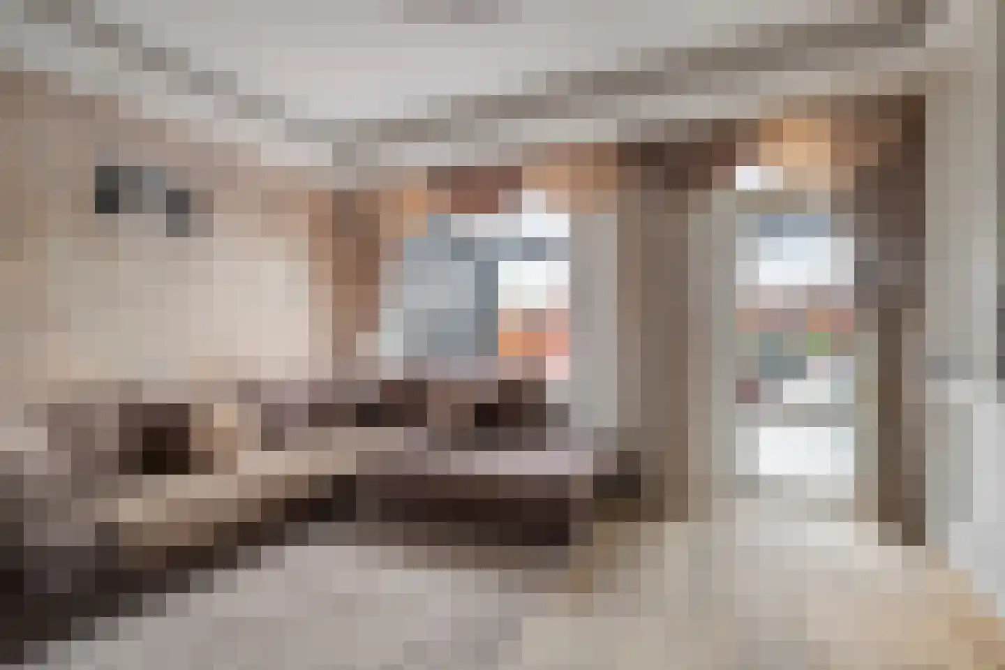 Cort van der Lindenkade 118 Amsterdam thumbnail 13