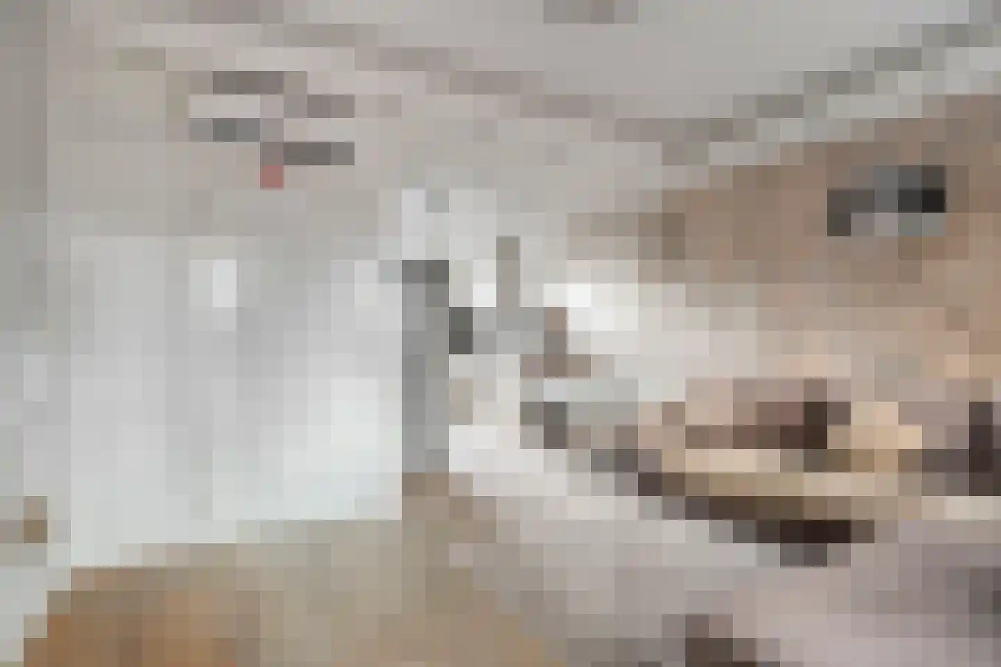 Cort van der Lindenkade 118 Amsterdam thumbnail 14