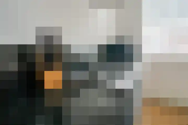 Cort van der Lindenkade 12 Alkmaar thumbnail 19