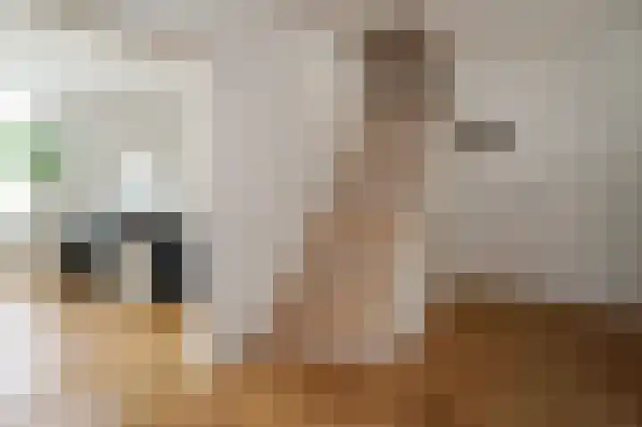 Cort van der Lindenkade 12 Alkmaar thumbnail 21