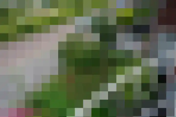 Cort van der Lindenkade 12 Alkmaar thumbnail 28