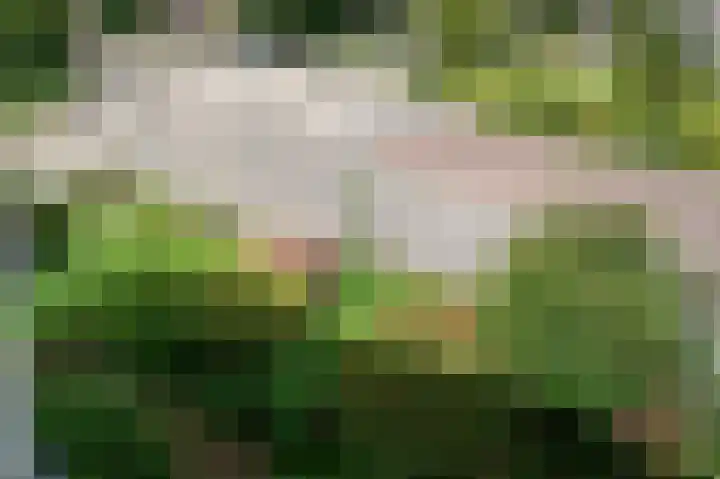 Cort van der Lindenkade 12 Alkmaar thumbnail 32