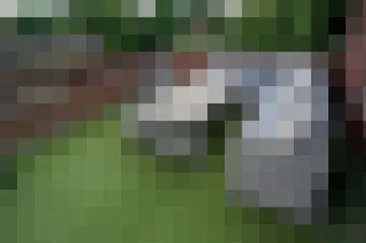 Cort van der Lindenkade 12 Alkmaar thumbnail 38