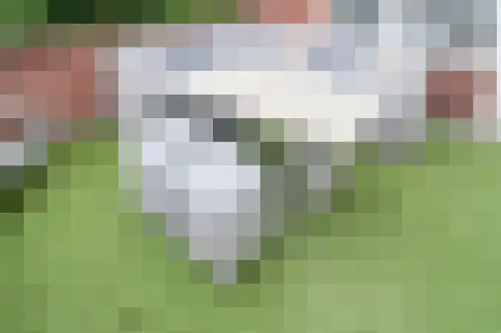 Cort van der Lindenkade 12 Alkmaar thumbnail 40