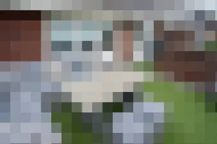 Cort van der Lindenkade 12 Alkmaar thumbnail 41