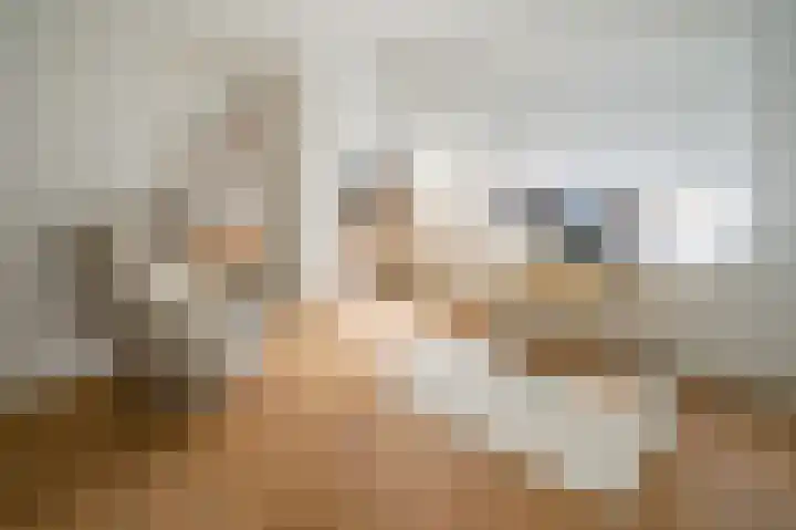 Cort van der Lindenkade 12 Alkmaar thumbnail 44