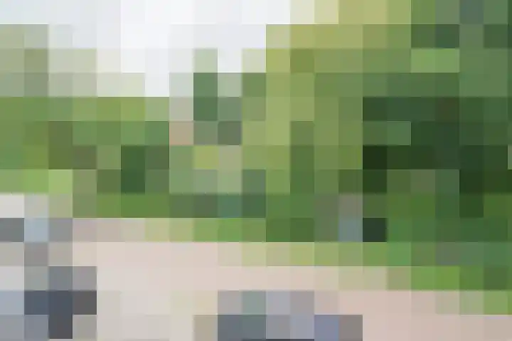 Cort van der Lindenkade 12 Alkmaar thumbnail 58