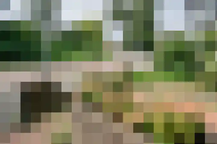 Cort van der Lindenkade 12 Alkmaar thumbnail 68