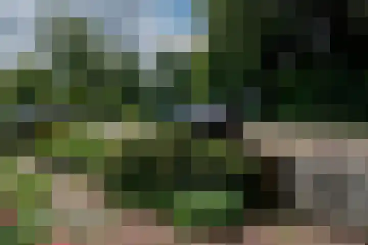 Cort van der Lindenkade 12 Alkmaar thumbnail 69