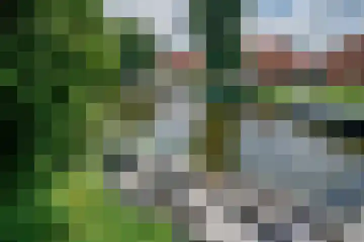 Cort van der Lindenkade 12 Alkmaar thumbnail 74