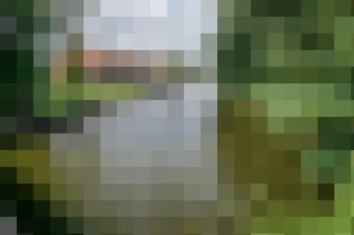 Cort van der Lindenkade 12 Alkmaar thumbnail 75