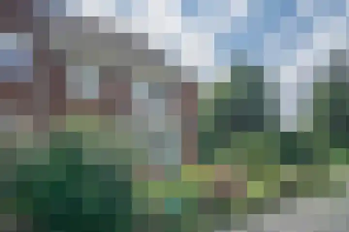 Cort van der Lindenkade 12 Alkmaar thumbnail 78