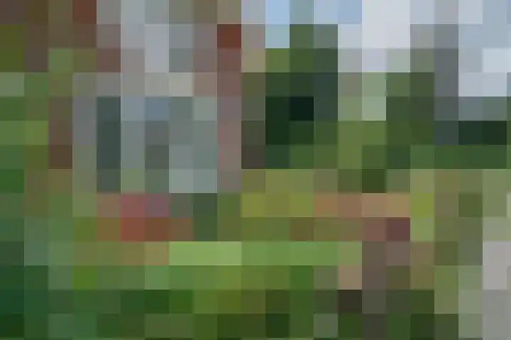 Cort van der Lindenkade 12 Alkmaar thumbnail 79