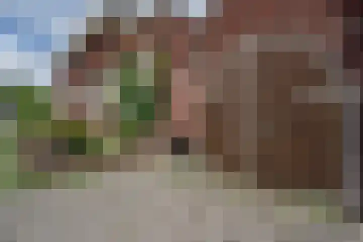 Cort van der Lindenkade 12 Alkmaar thumbnail 80
