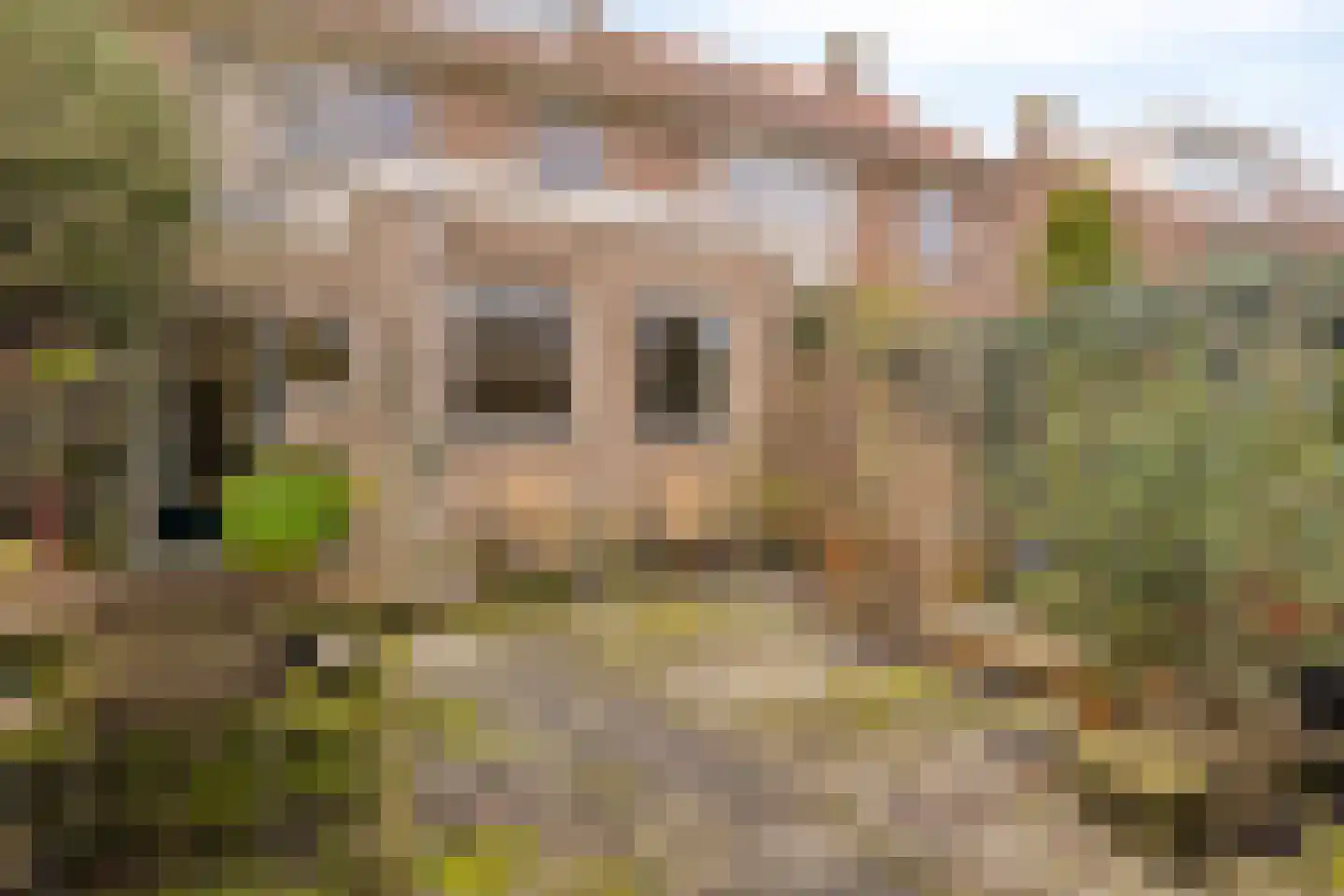 Cort van der Lindenkade 29 Alkmaar thumbnail 29