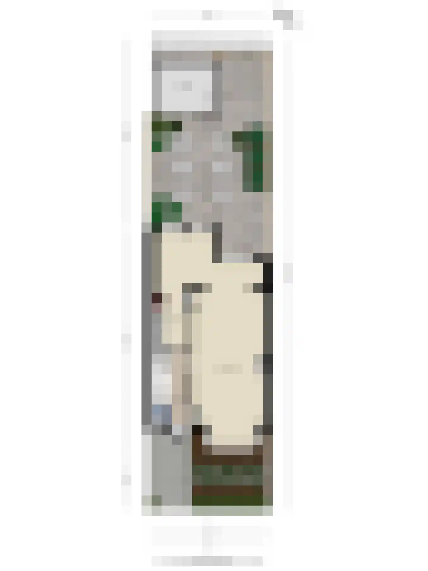 Cort van der Lindenkade 29 Alkmaar thumbnail 32