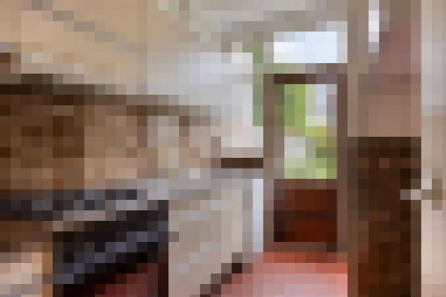 Cort van der Lindenkade 30 Alkmaar thumbnail 16