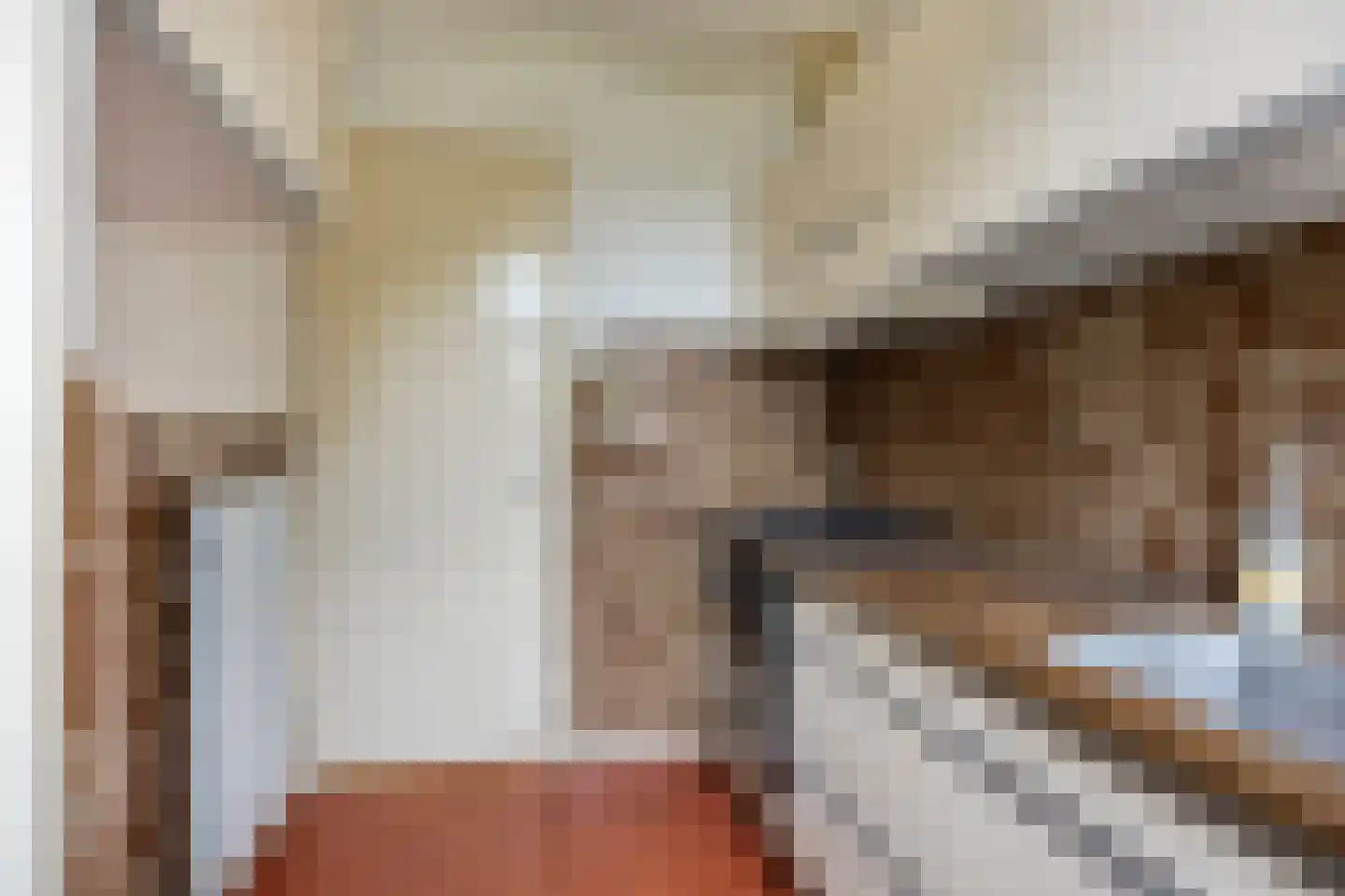 Cort van der Lindenkade 30 Alkmaar thumbnail 19