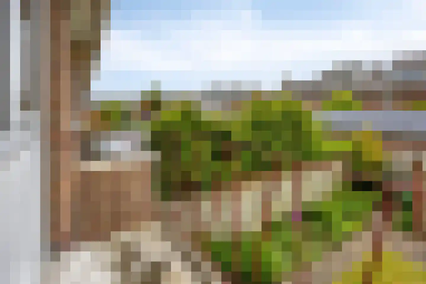 Cort van der Lindenkade 30 Alkmaar thumbnail 24