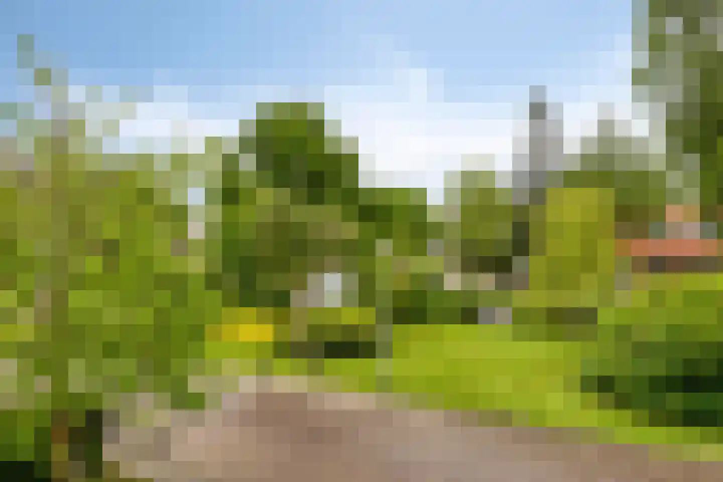 Cort van der Lindenkade 30 Alkmaar thumbnail 30