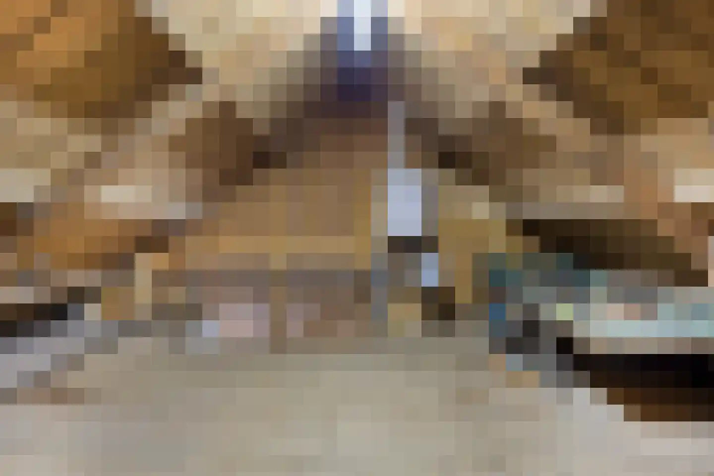 Cort van der Lindenkade 30 Alkmaar thumbnail 34