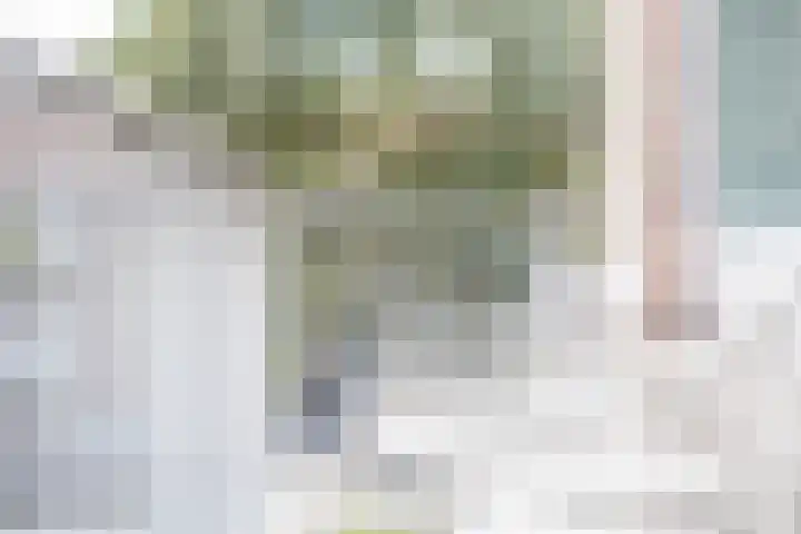 Cort van der Lindenkade 70 Amsterdam thumbnail 10