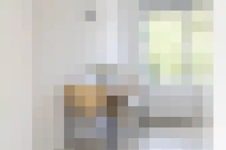 Cort van der Lindenkade 70 Amsterdam thumbnail 14