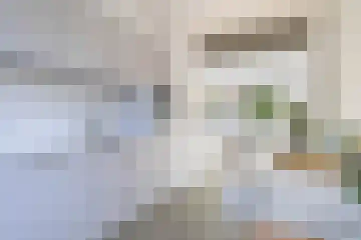 Cort van der Lindenkade 70 Amsterdam thumbnail 17