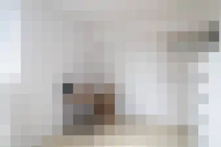 Cort van der Lindenkade 70 Amsterdam thumbnail 21