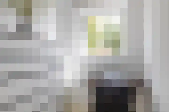 Cort van der Lindenkade 70 Amsterdam thumbnail 22