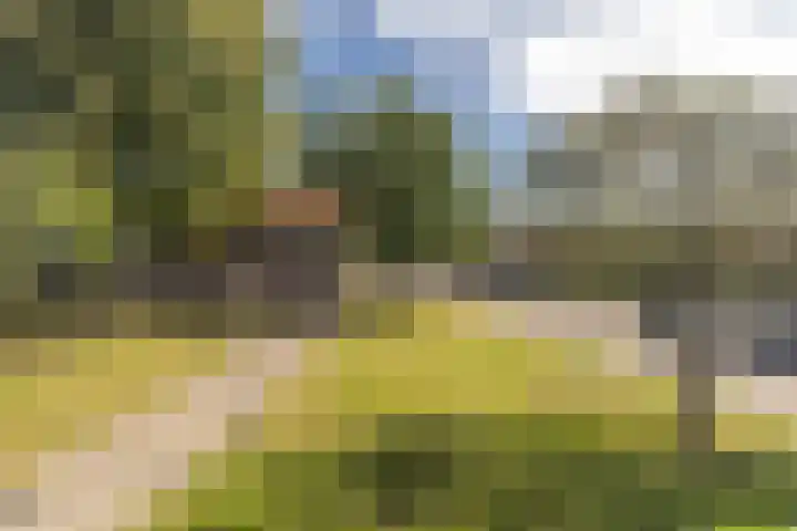 Cort van der Lindenkade 70 Amsterdam thumbnail 31