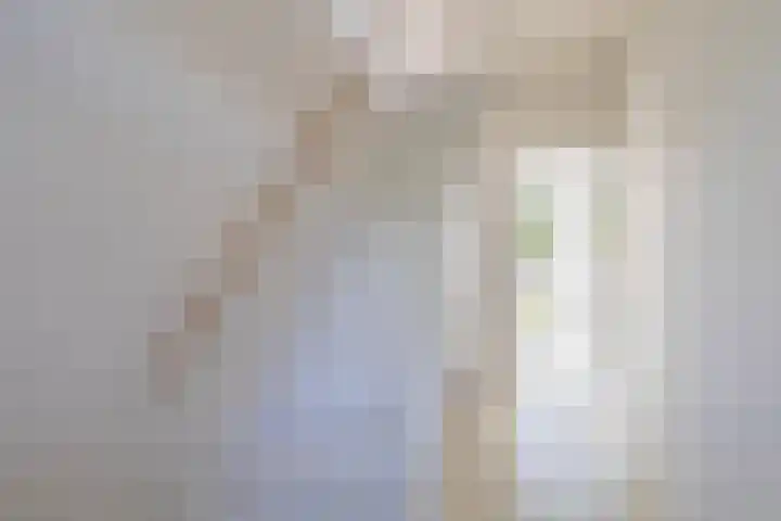 Cort van der Lindenkade 70 Amsterdam thumbnail 6
