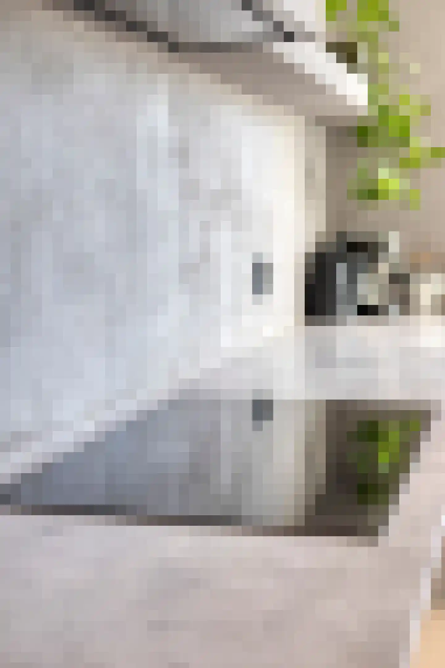 Cort van der Lindenkade 78 Amsterdam thumbnail 11