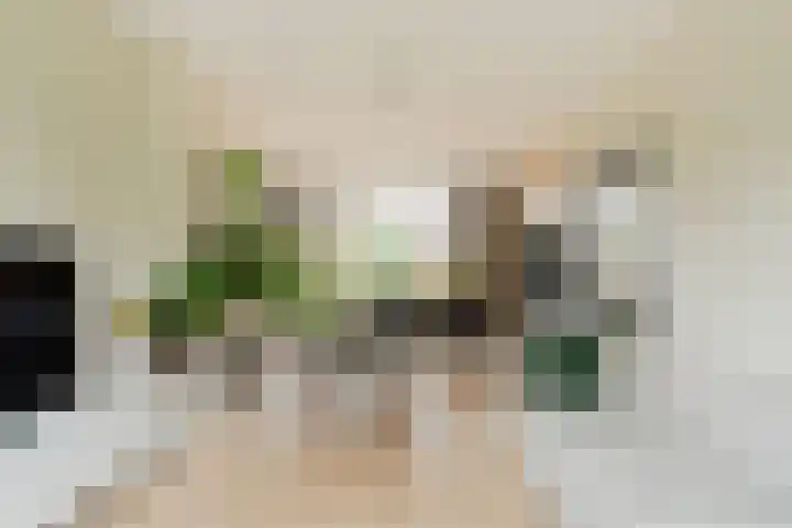 Cort van der Lindenkade 8 Amsterdam thumbnail 12