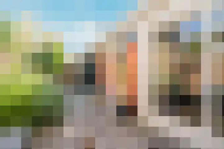 Cort van der Lindenkade 8 Amsterdam thumbnail 20