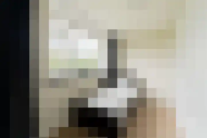 Cort van der Lindenkade 8 Amsterdam thumbnail 33